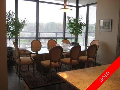Phenomenal Sub Penthouse in New Westminster