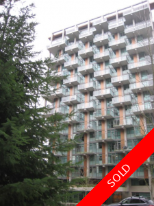 Stunning at UBC overlooking the Forest